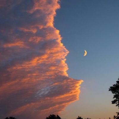 九游会演示说明